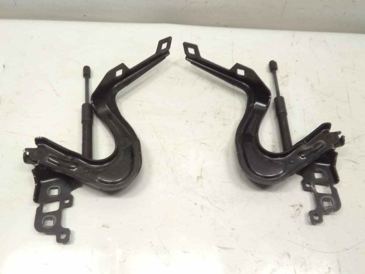 Tesla Model Y RWD original Satz Motorhaubenscharniere unfallfrei BJ2023