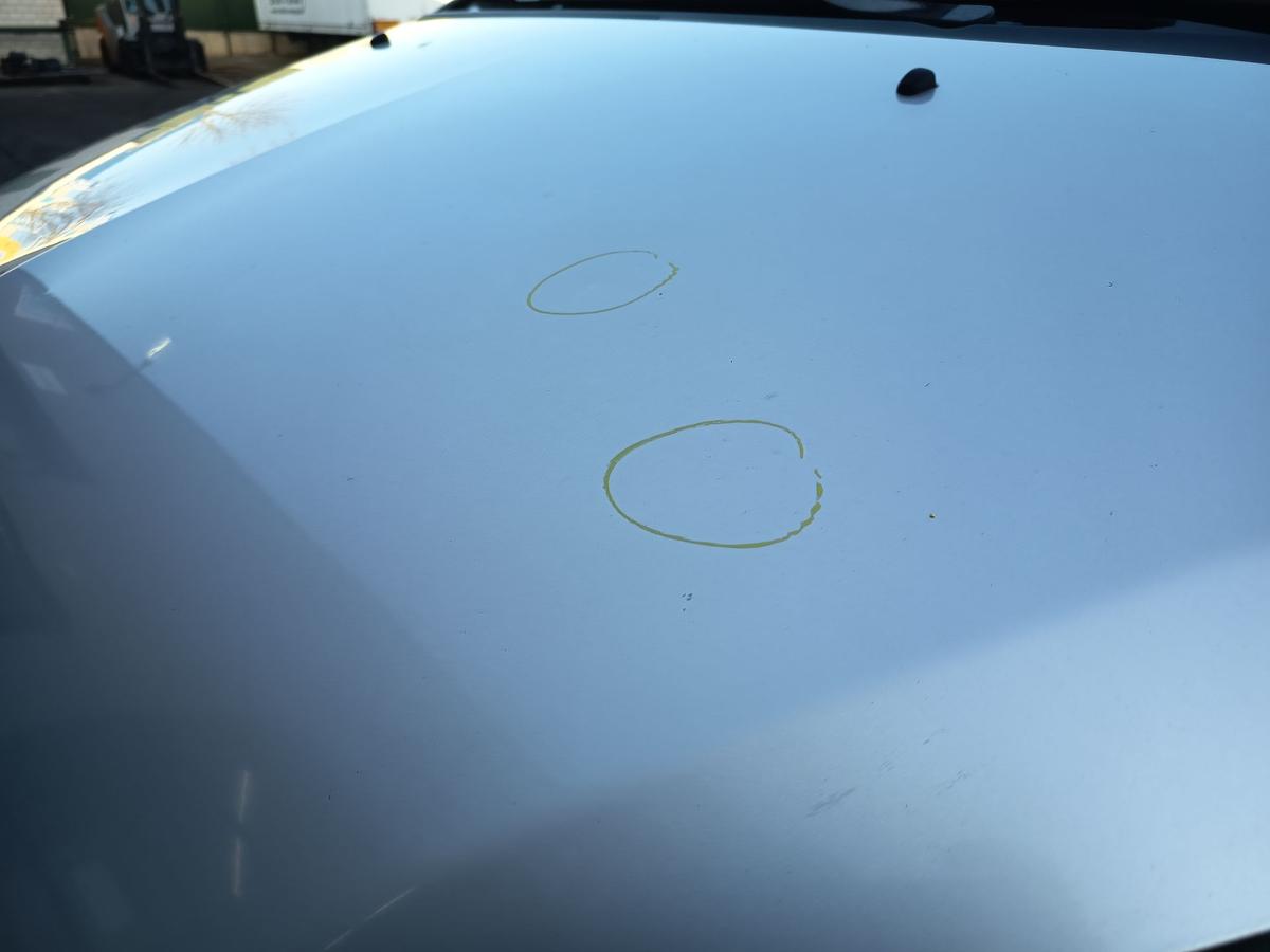 Mitsubishi Colt Z30 orig Motorhaube Klappe/Deckel/Front A50 Pure silver Bj 2005