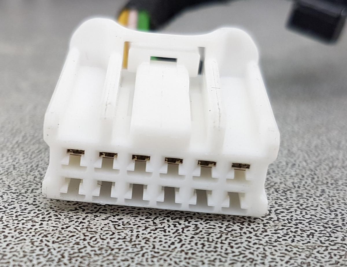 Tesla Model X T&uuml;rheber Gadruckfeder T&uuml;r hinten Bj2022 1063440-00-F Falcon