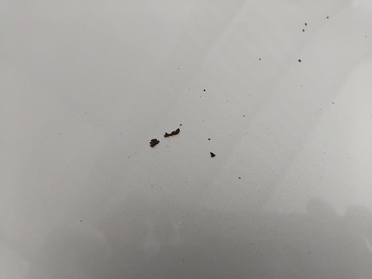 Mercedes A-Klasse W169 original Motorhaube Deckel vorn BJ2005 761 polarsilbermetallic