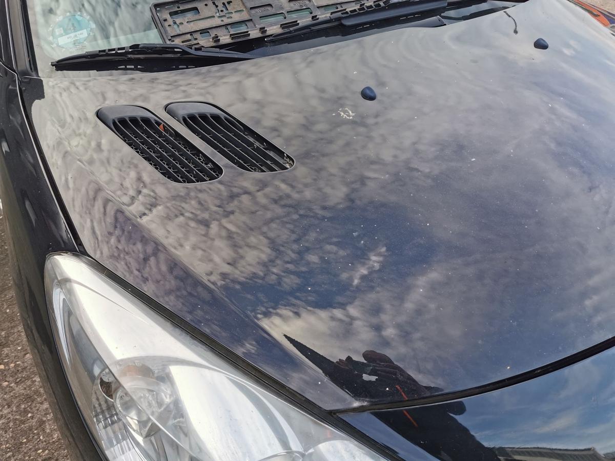 Peugeot 206+ 2M Motorhaube Haube Klappe Deckel Bonnet vorn KTV Perla Nera