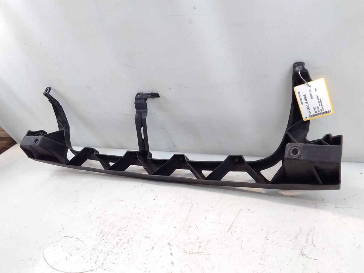 VW Passat 3BG original Grillträger Stützteil Stoßfänger vorn BJ2002 3B0807469C