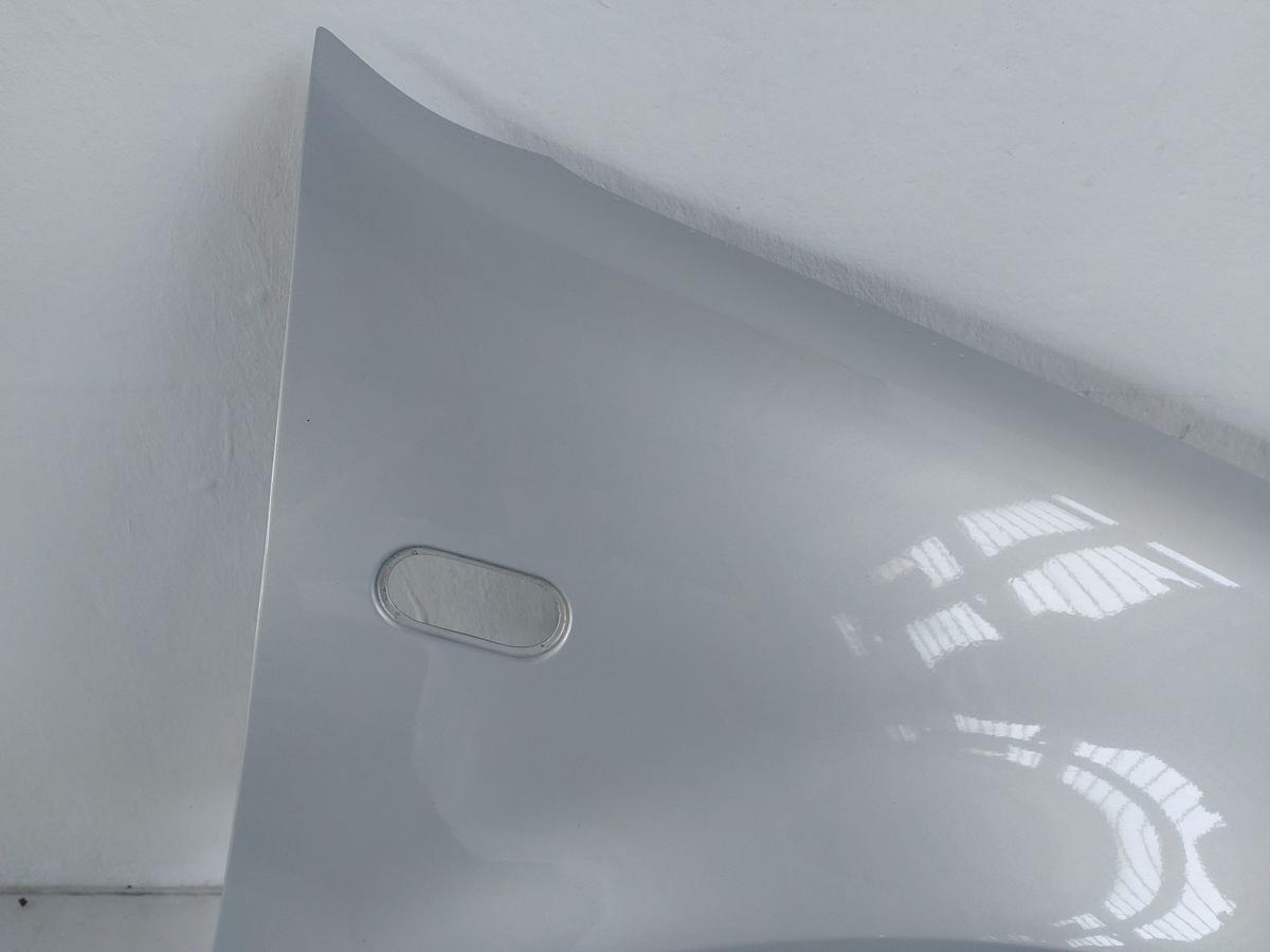 VW Golf 4 1J IV Kotflügel vorn rechts Beifahrerseite OEM kleine Rostblasen