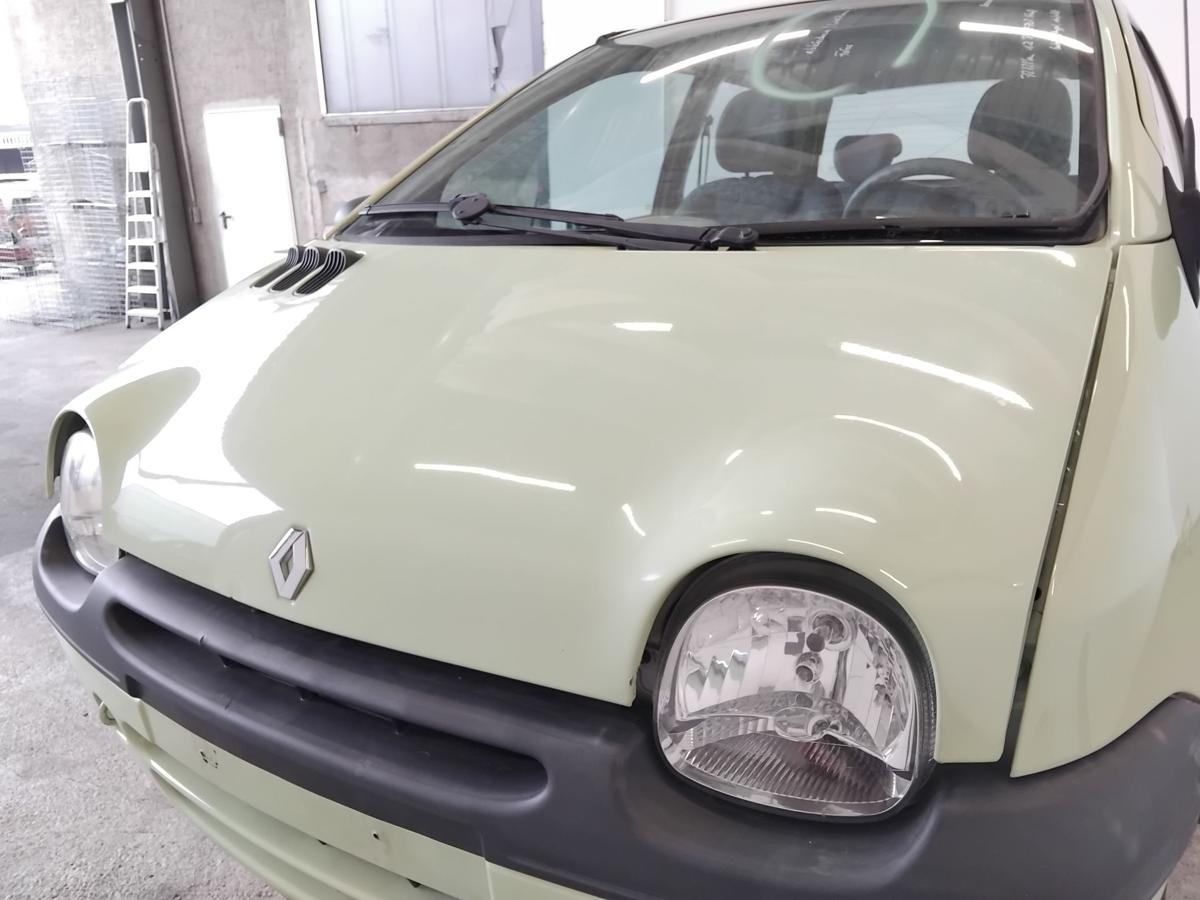 Renault Twingo 1 Ph.IV Motorhaube Deckel vorn F97 Pastellgelb BJ2005 Facelift