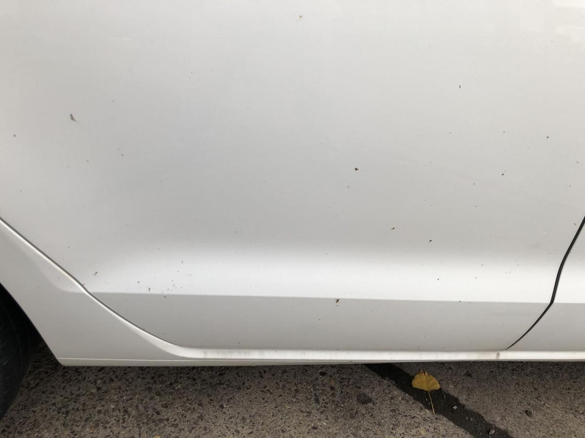 VW Golf Sportsvan AUV ab17 Tür hinten rechts Fondtür Beifahrerseite LC9A Rohbau