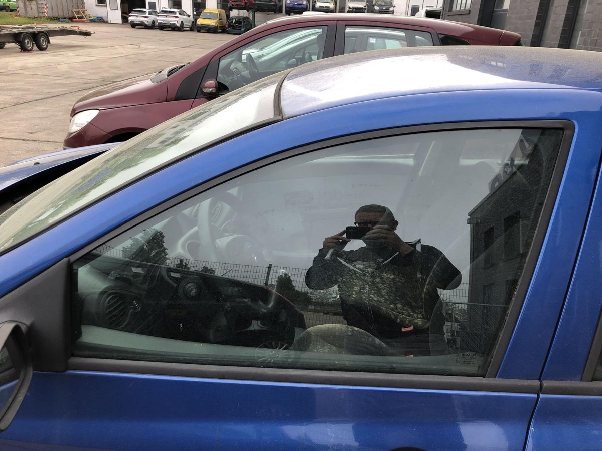 Renault Clio 3 Typ BR T&uuml;rscheibe vorn links Scheibe nur 5 t&uuml;rig Colorglas