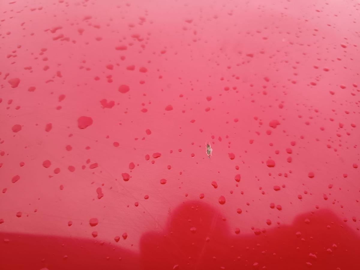 VW Fox original Motorhaube Deckel vorn Front Y3D Tornadorot Bj 2007