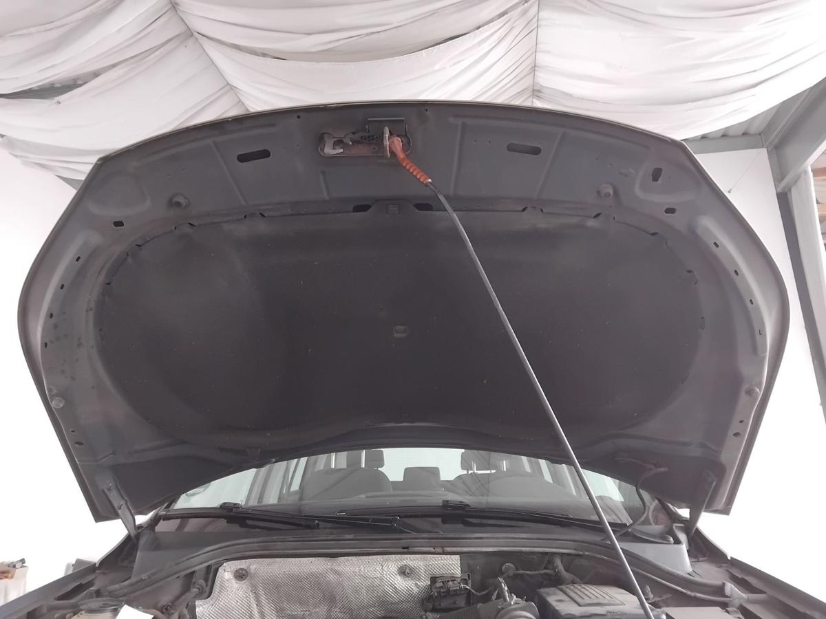 VW Tiguan 5N2 Motorhaube Deckel vorn titaniumbeigemetallic LA1X BJ2012