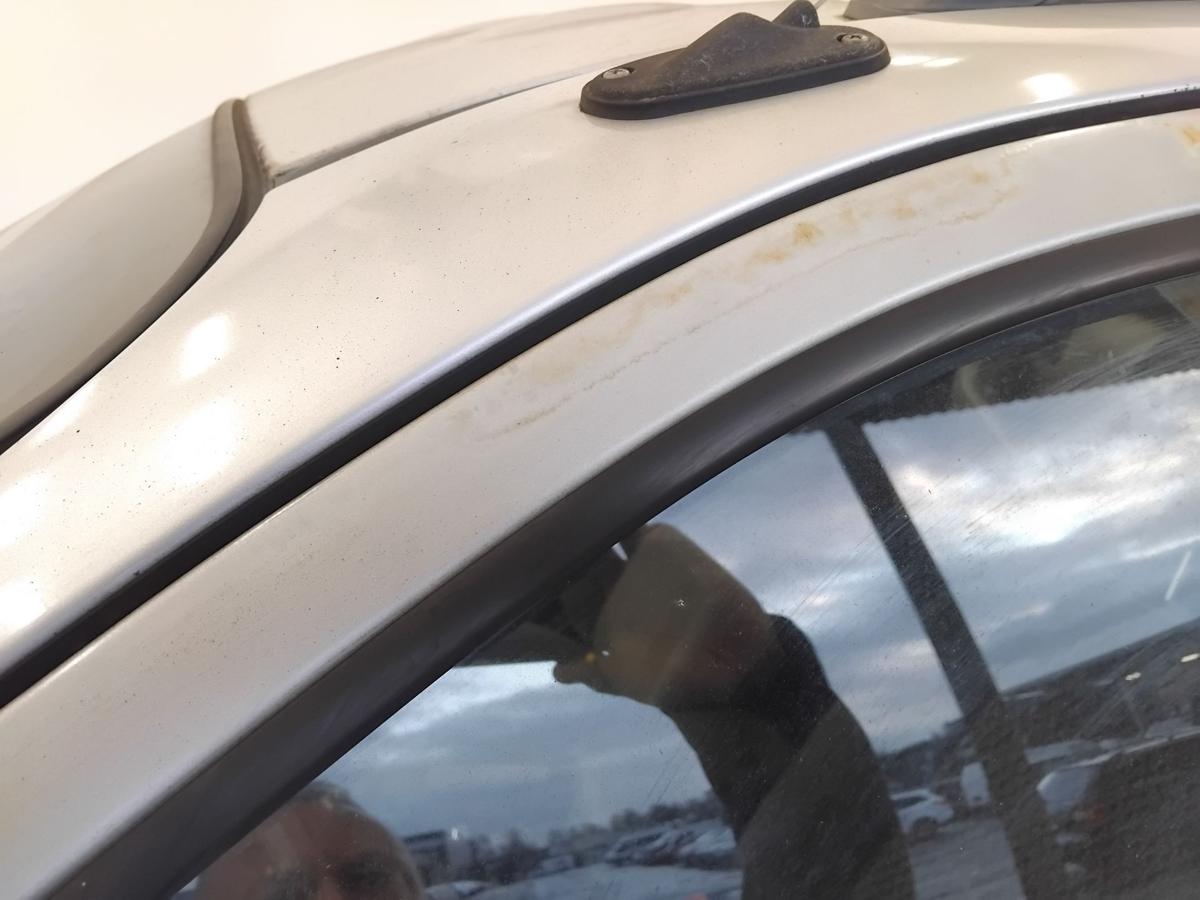 Hyundai Santa Fe SM Tür vorn links Fahrertür LS smart silvermetallic BJ2003