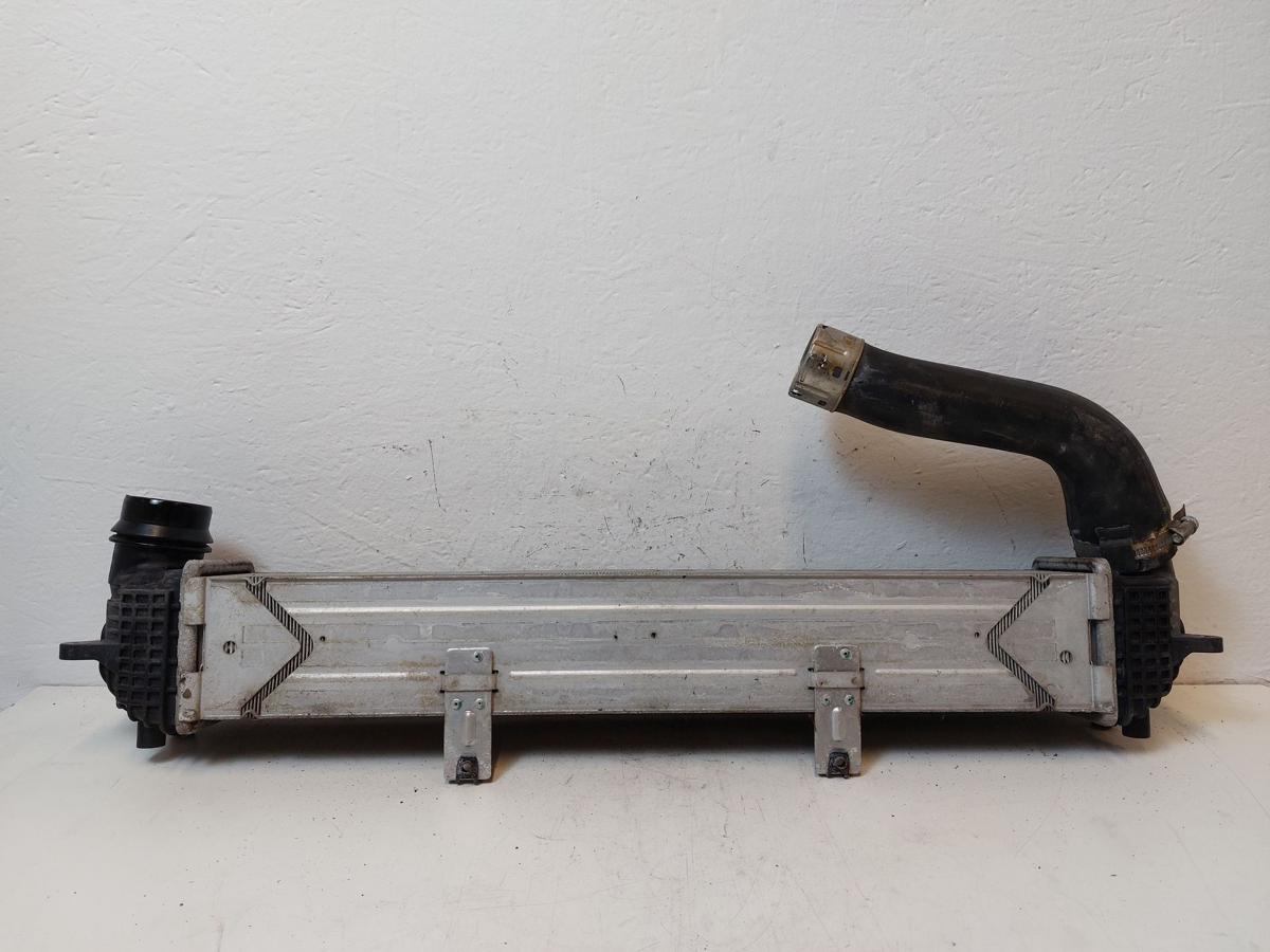 Hyundai i30 PD Mild Hybrid Ladeluftkühler Kühler Ladeluft 1.0TGDI 88kw G3LF