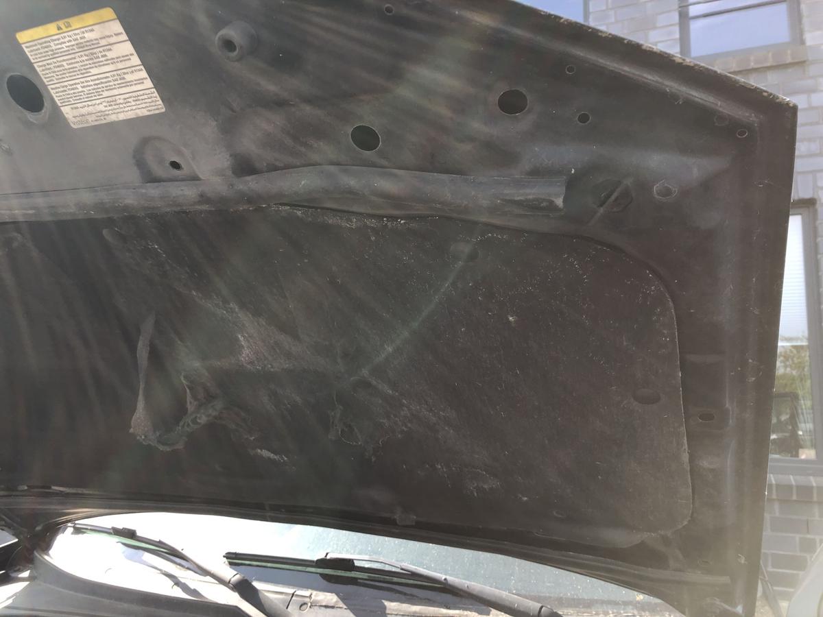 Mazda Tribute EP ab 2004 Motorhaube Haube Klappe Deckel schwarz Steinschläge