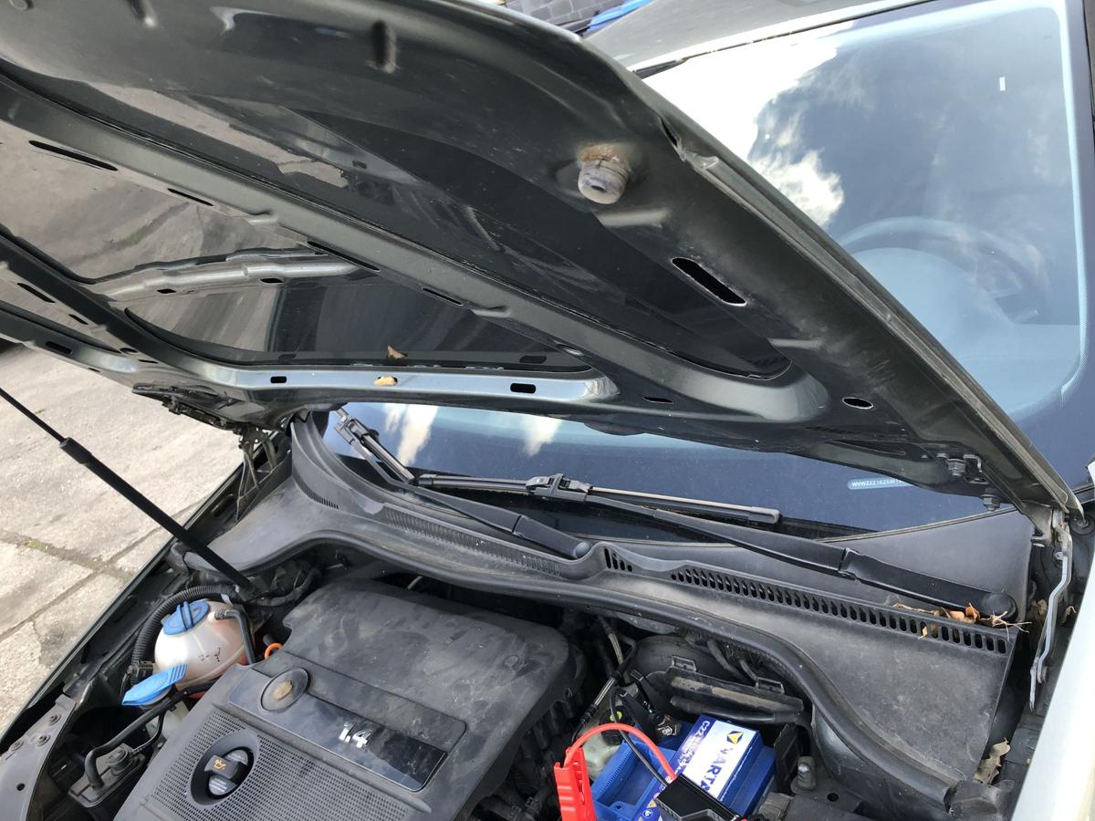 VW Golf 5 V 1K Motorhaube Haube Klappe Deckel vorn LA6Q Sagegreen