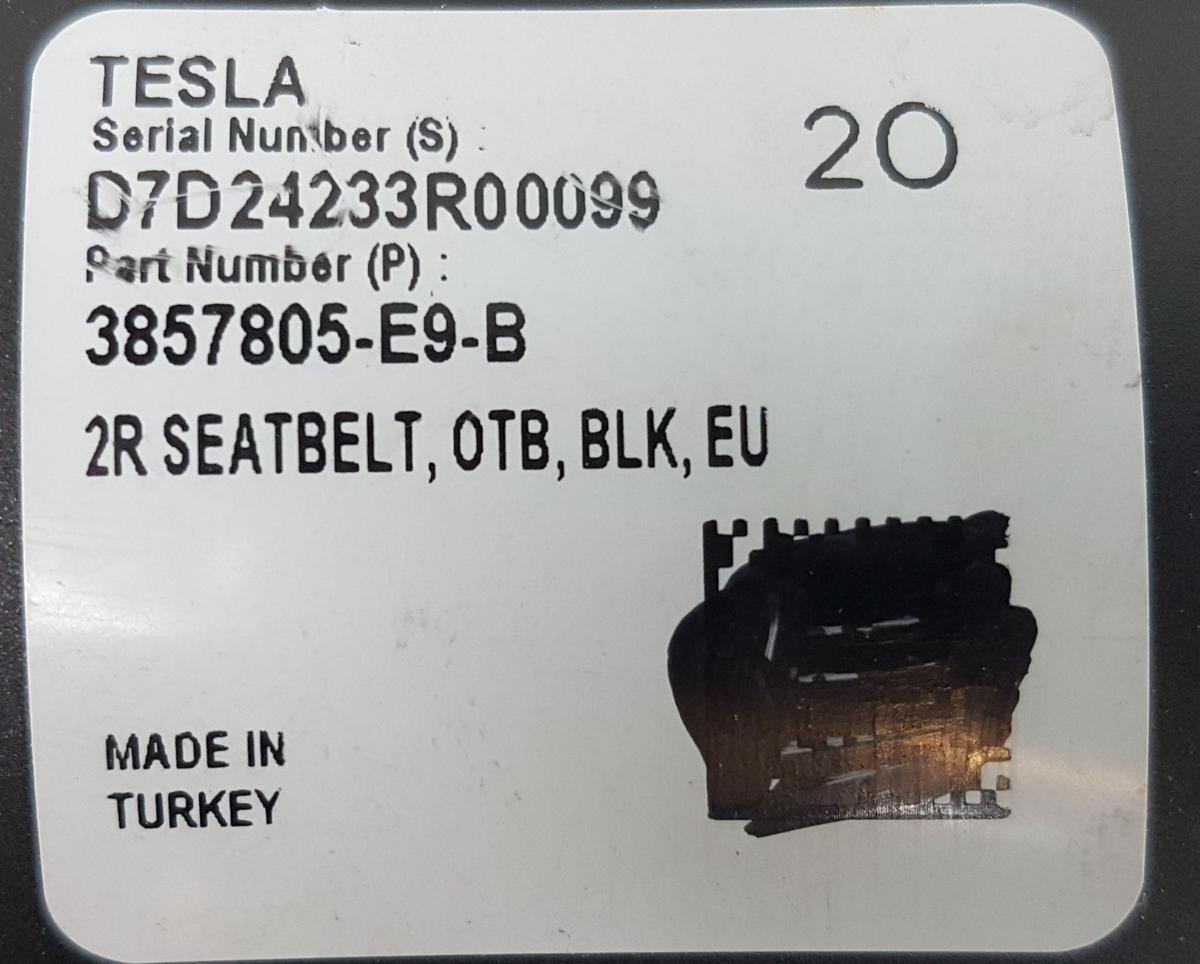 Tesla Model Y Juniper Sicherheitsgurt hinten rechts Bj2025 3857805-E9-B