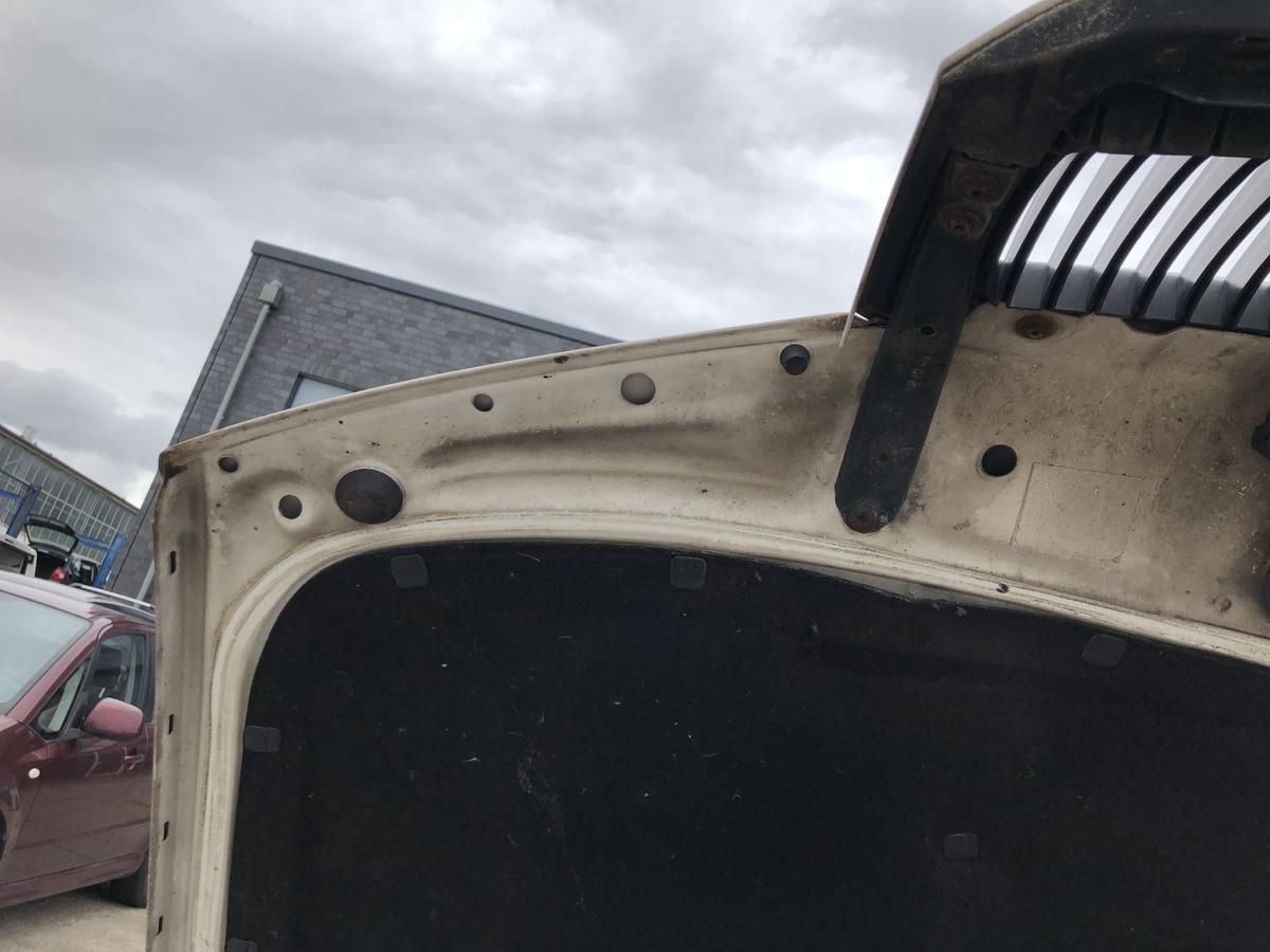 Skoda Fabia 6Y Praktik Motorhaube Haube Klappe Deckel vorn Grill LF9E Candywei&szlig;