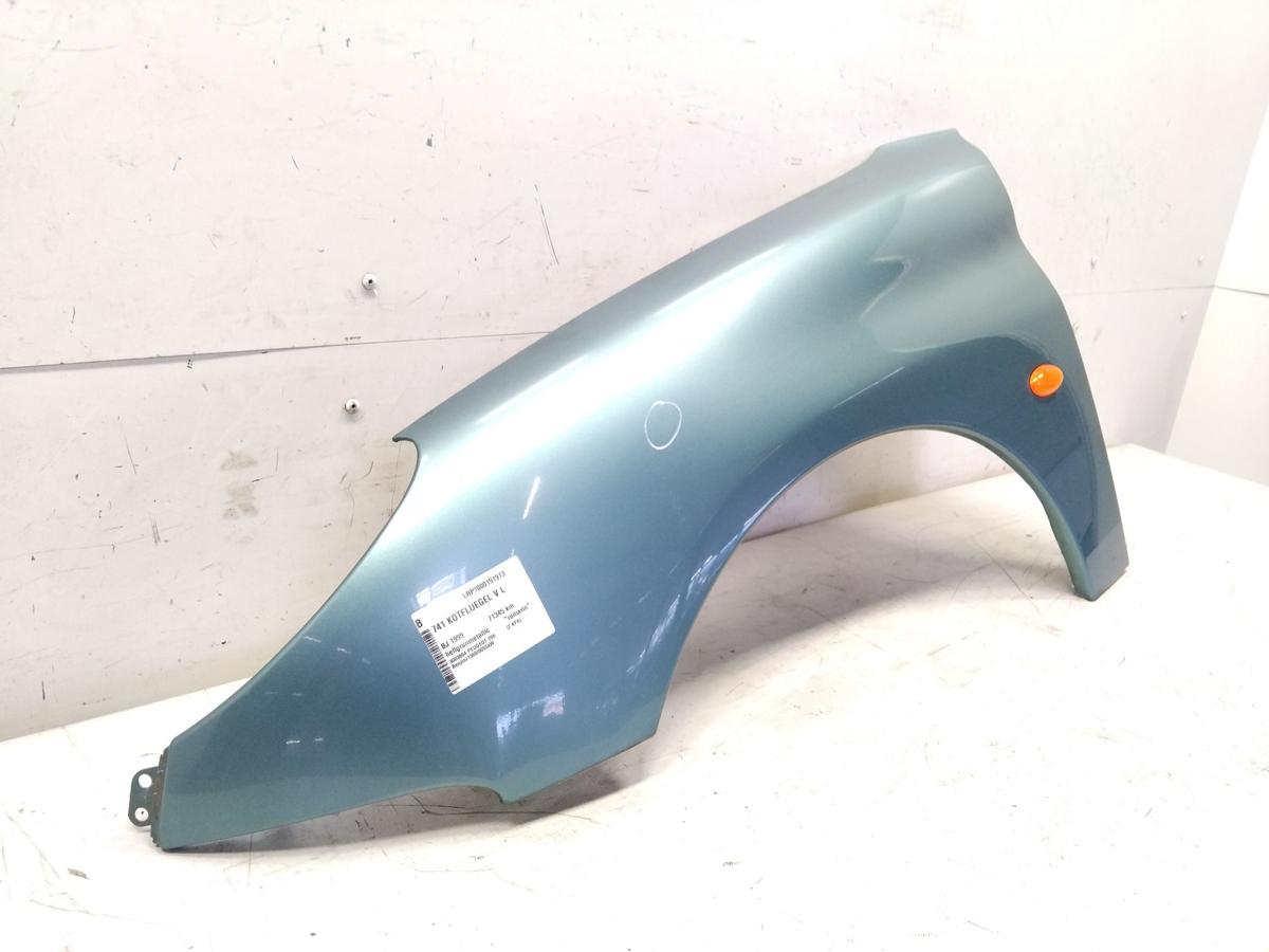 Peugeot 206 original Kotflügel vorn links hellgrünmetallic romarin BJ1999