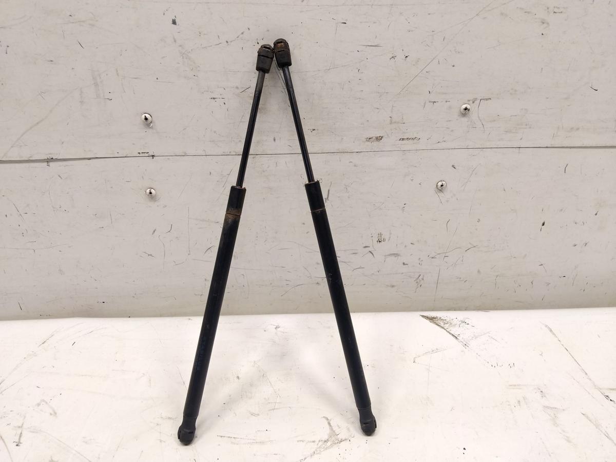 Tesla Model S original Satz Gasdruckd&auml;mpfer Motorhaube BJ2014