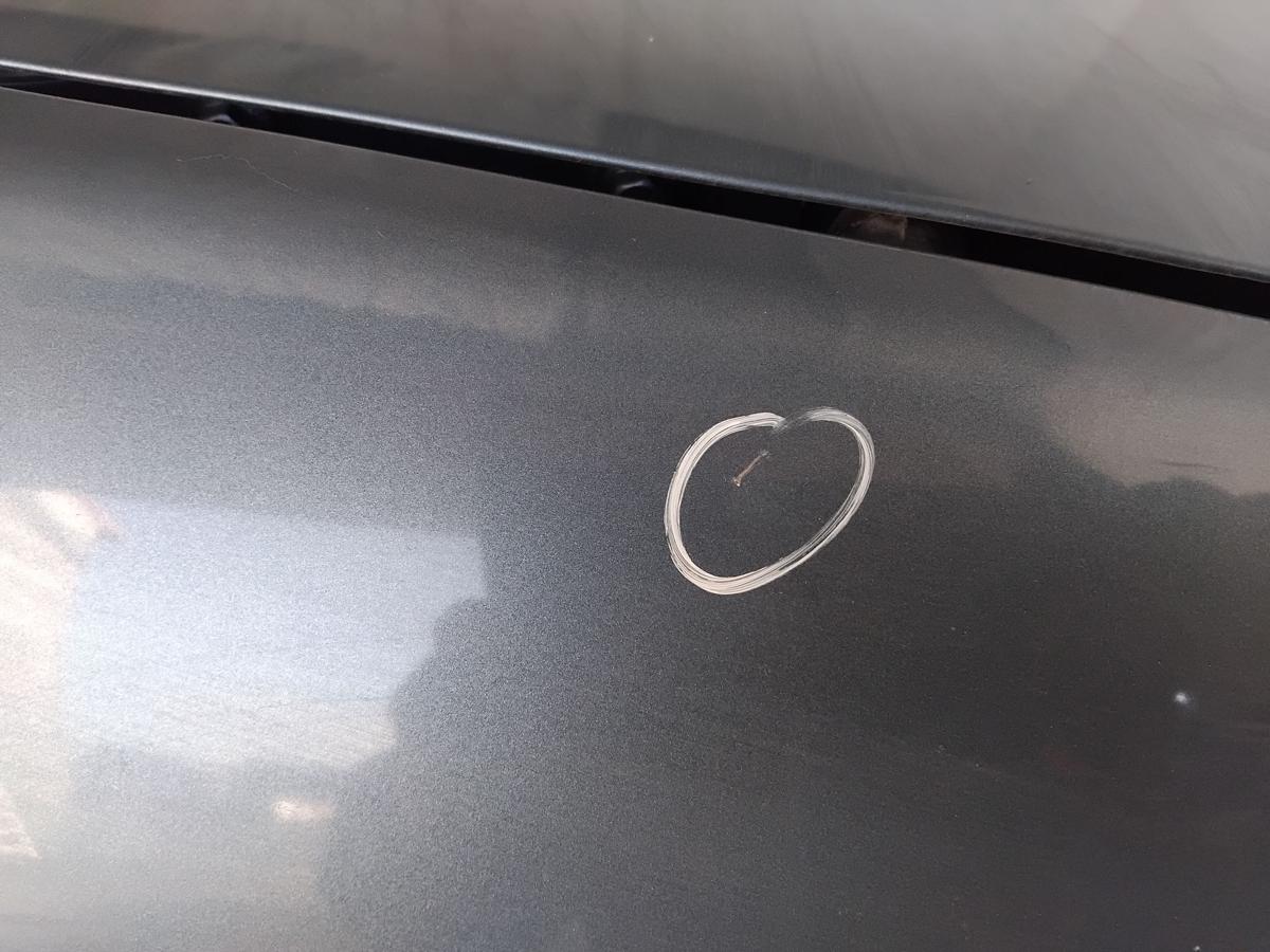 Dacia Sandero 1 original Kotflügel vorn rechts blaumetallic TERNF BJ2009