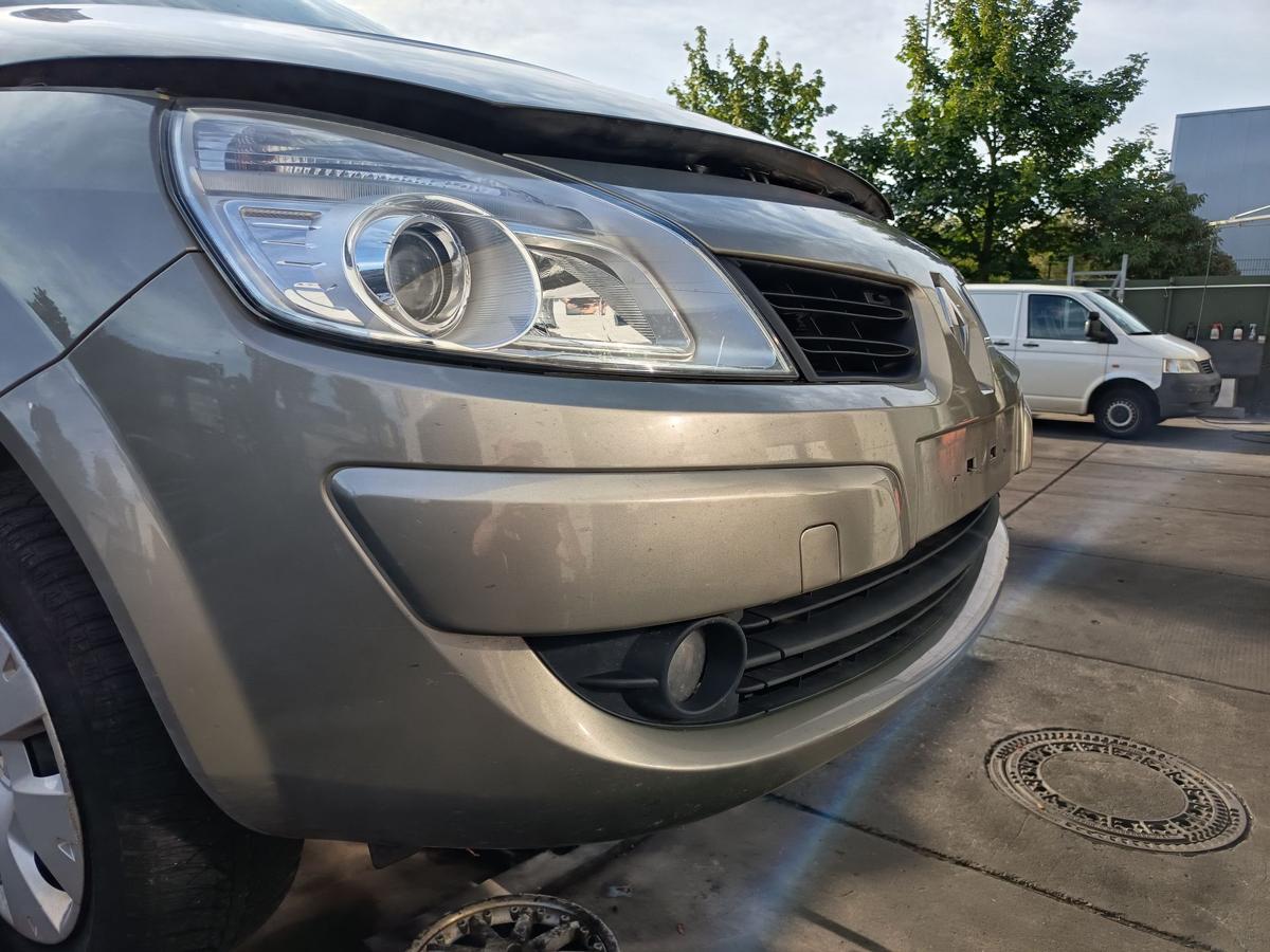 Renault Scenic II original Sto&szlig;stange F&auml;nger vorn Front C66 Beige Bj 2007