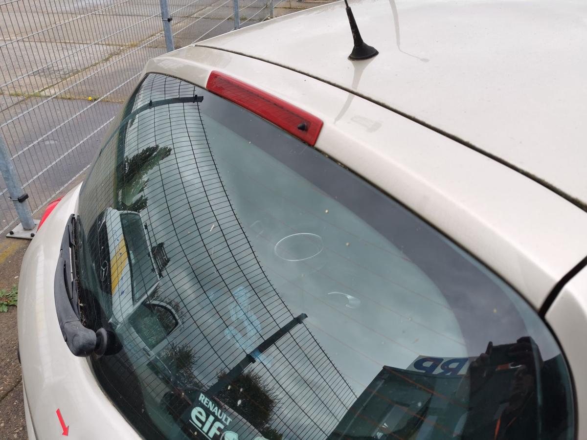 Renault Clio III Heckklappe Klappe Deckel hinten 3trg TED11 BeigePepper DELLEN