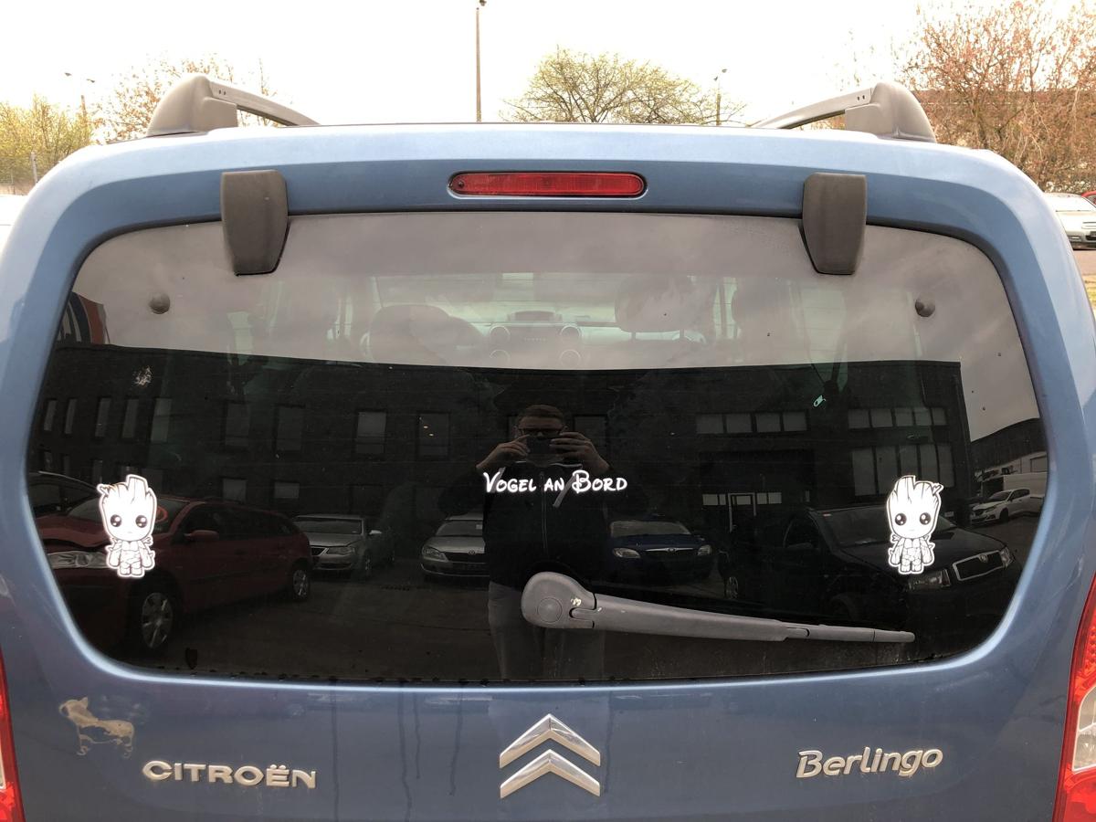 Citroen Berlingo B9 Multispace Heckscheibe Scheibe hinten heizbar get&ouml;nt
