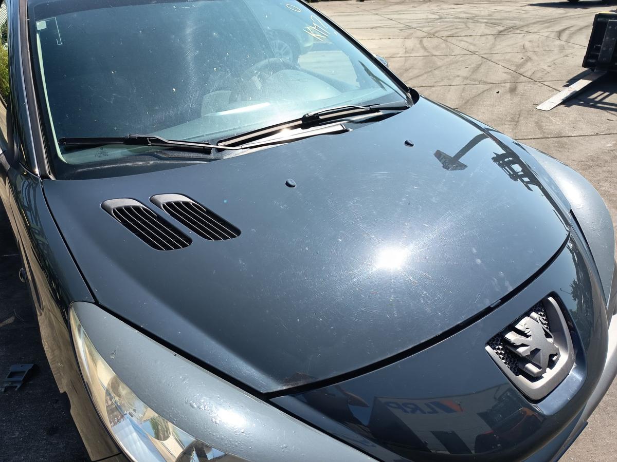 Peugeot 206+ orig Motorhaube Klappe KTG Grau Front Bj 2009