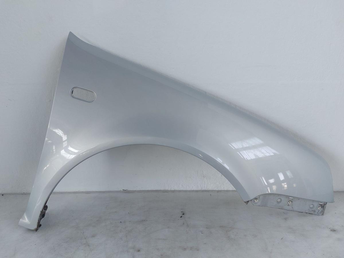 VW Golf 4 1J IV Kotflügel vorn rechts Beifahrerseite OEM kleine Rostblasen