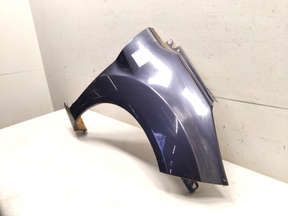 Ford Fiesta JA8 original Kotfl&uuml;gel vorn rechts Royalgraumetallic BJ2009