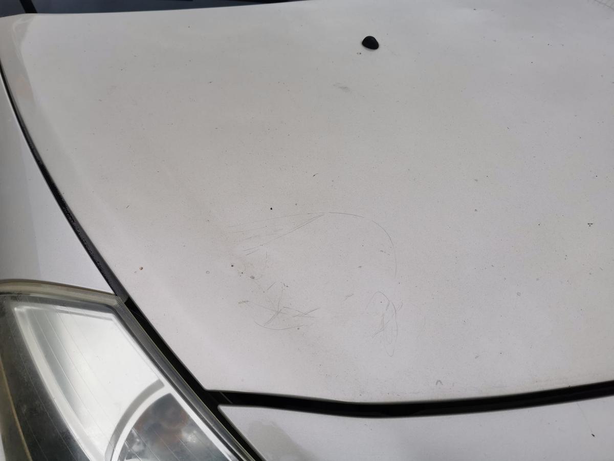 Renault Clio III Motorhaube Haube Klappe Deckel Bonnet vorn TED11 Beige Pepper