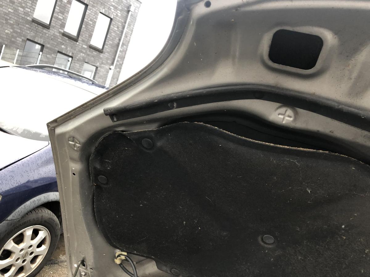 Suzuki Ignis Typ MH Motorhaube Bonnet Deckel vorn Haube silber