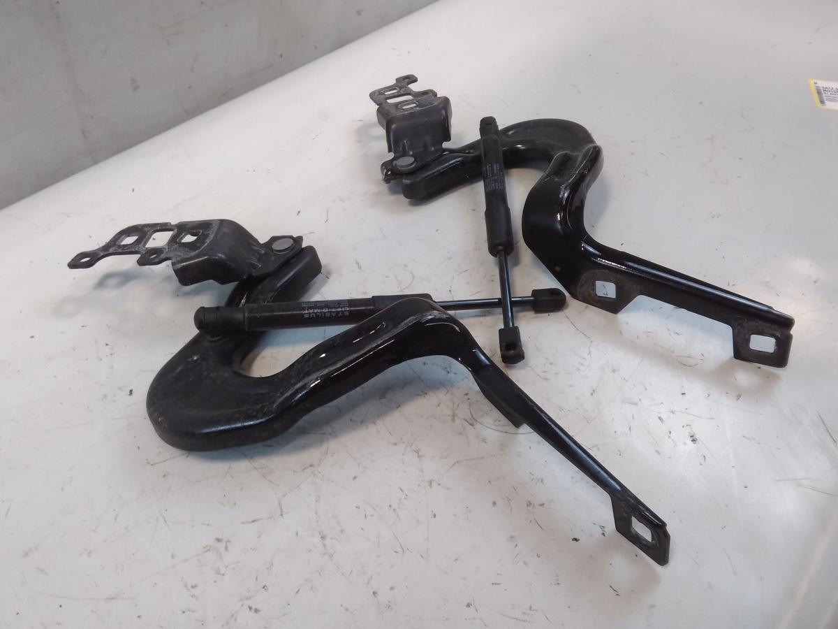 Tesla Model Y original Satz Motorhaubenscharniere unfallfrei BJ2023