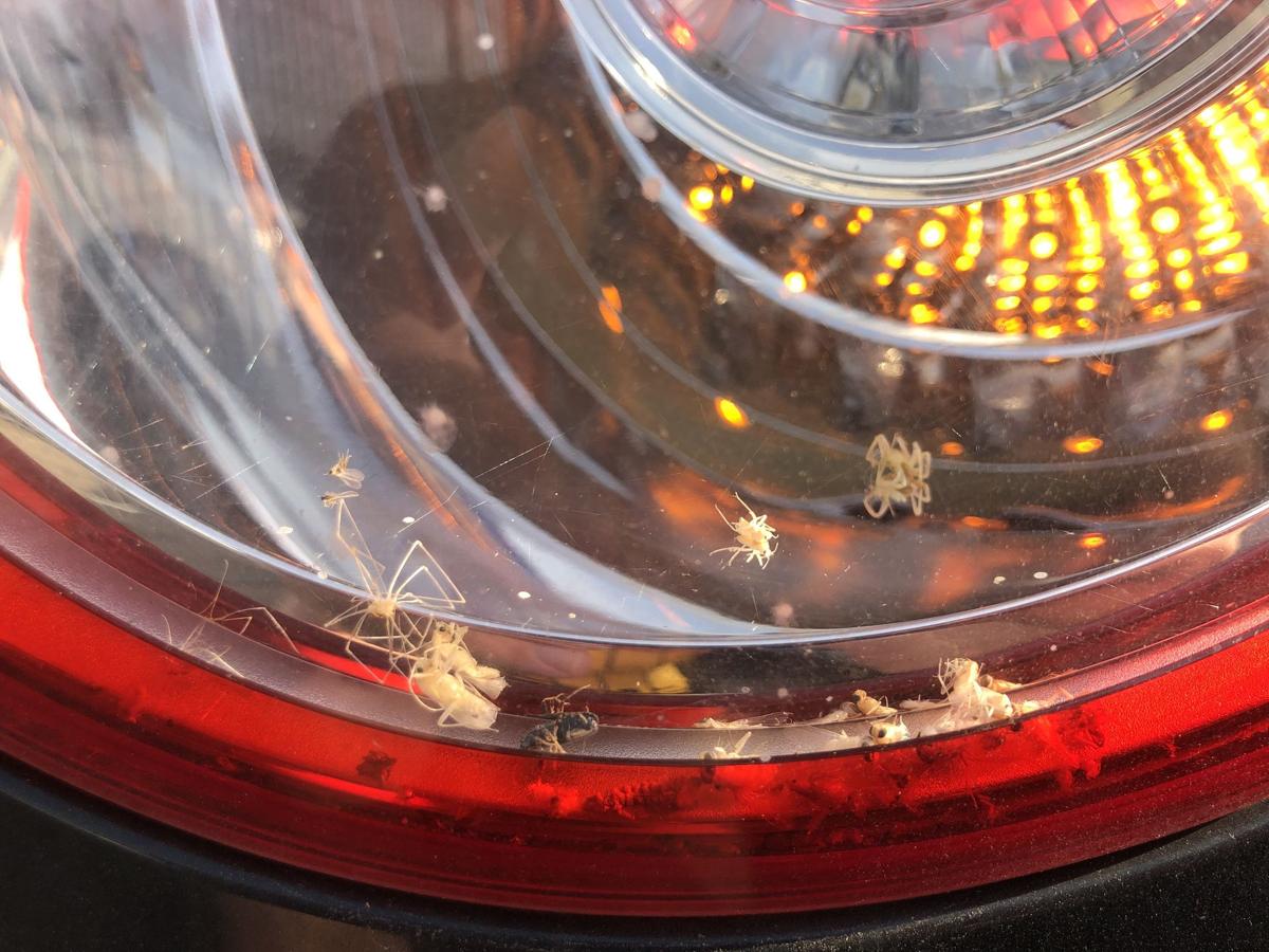 VW Jetta 1K Rückleuchte rechts außen Ecke Heckleuchte LED Schlusslicht