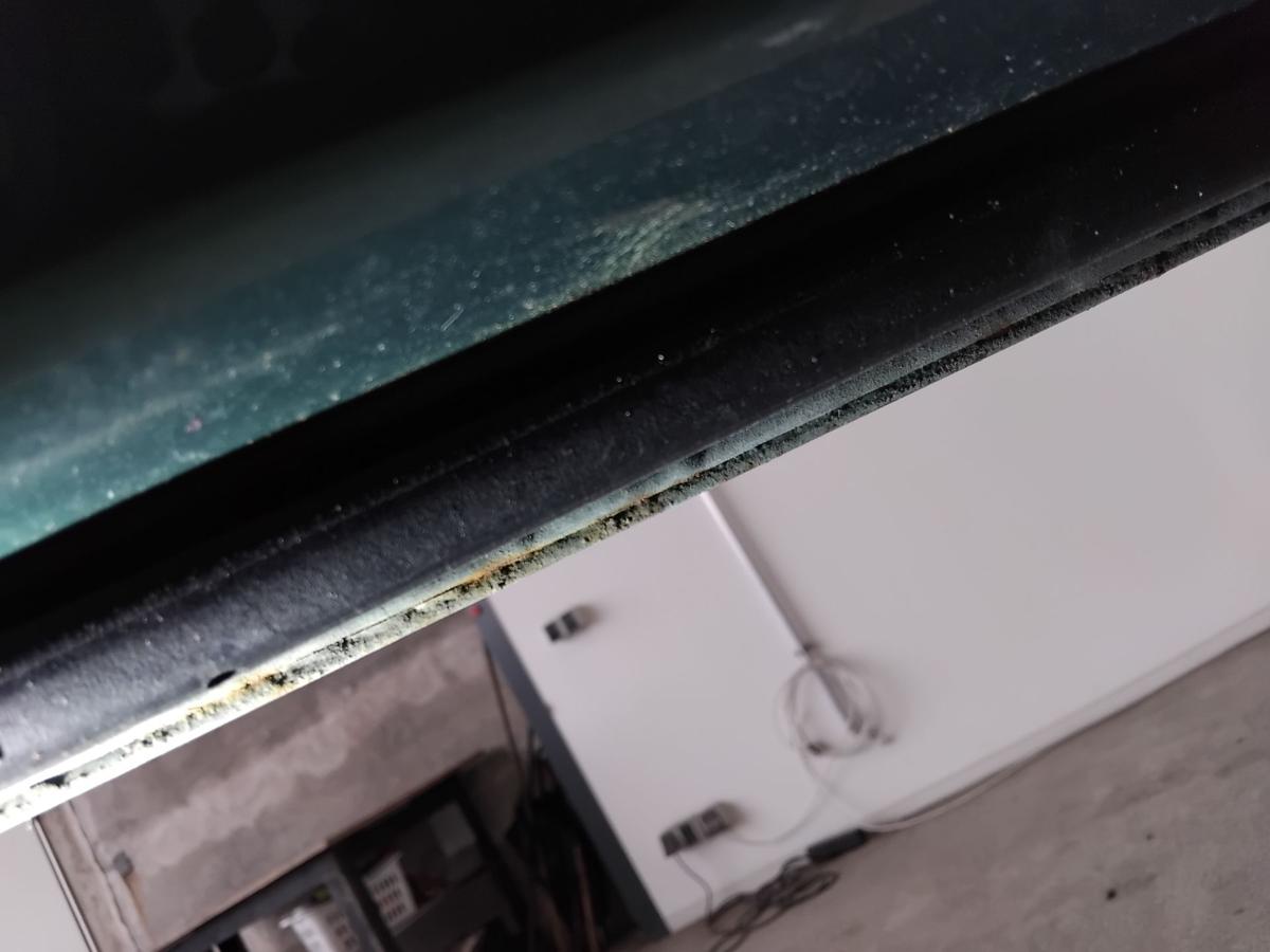 BMW 3er E46 T&uuml;r vorn links Fahrert&uuml;r meergr&uuml;nmetallic 393 BJ1999