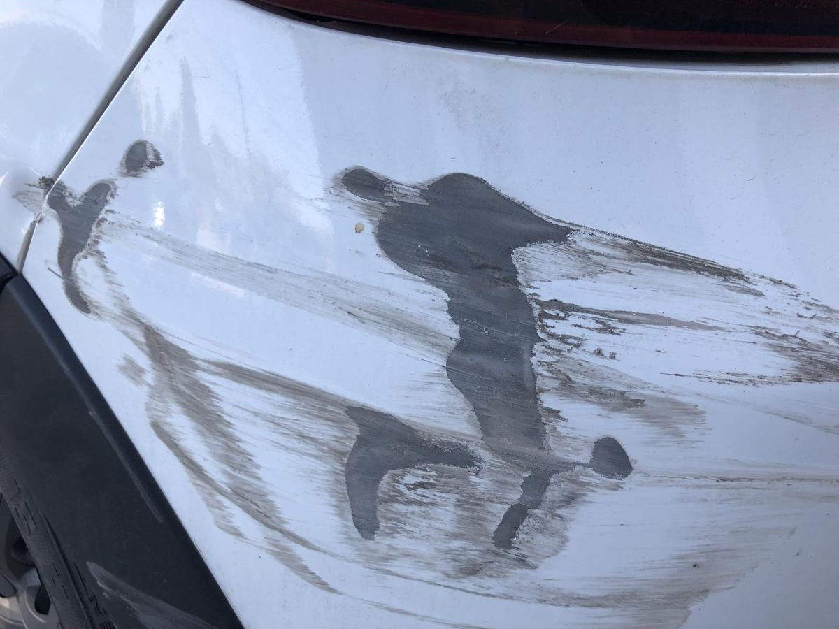 Citroen C3 III SX ab17 Stoßfänger hinten Heckschürze PDC Beschädigt EWP weiss
