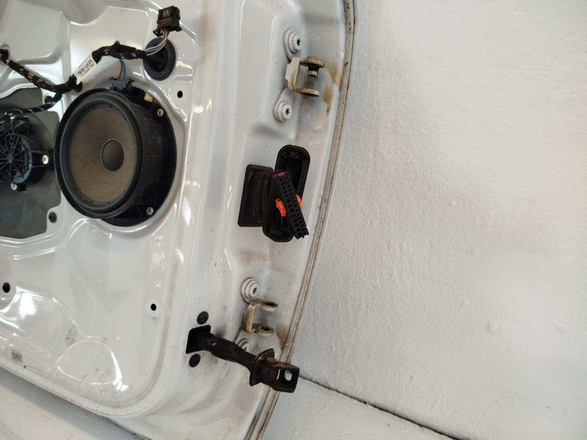 Skoda Roomster Scout 5J Tür vorn links Fahrertür Autotür LF9E candyweiss Rohbau