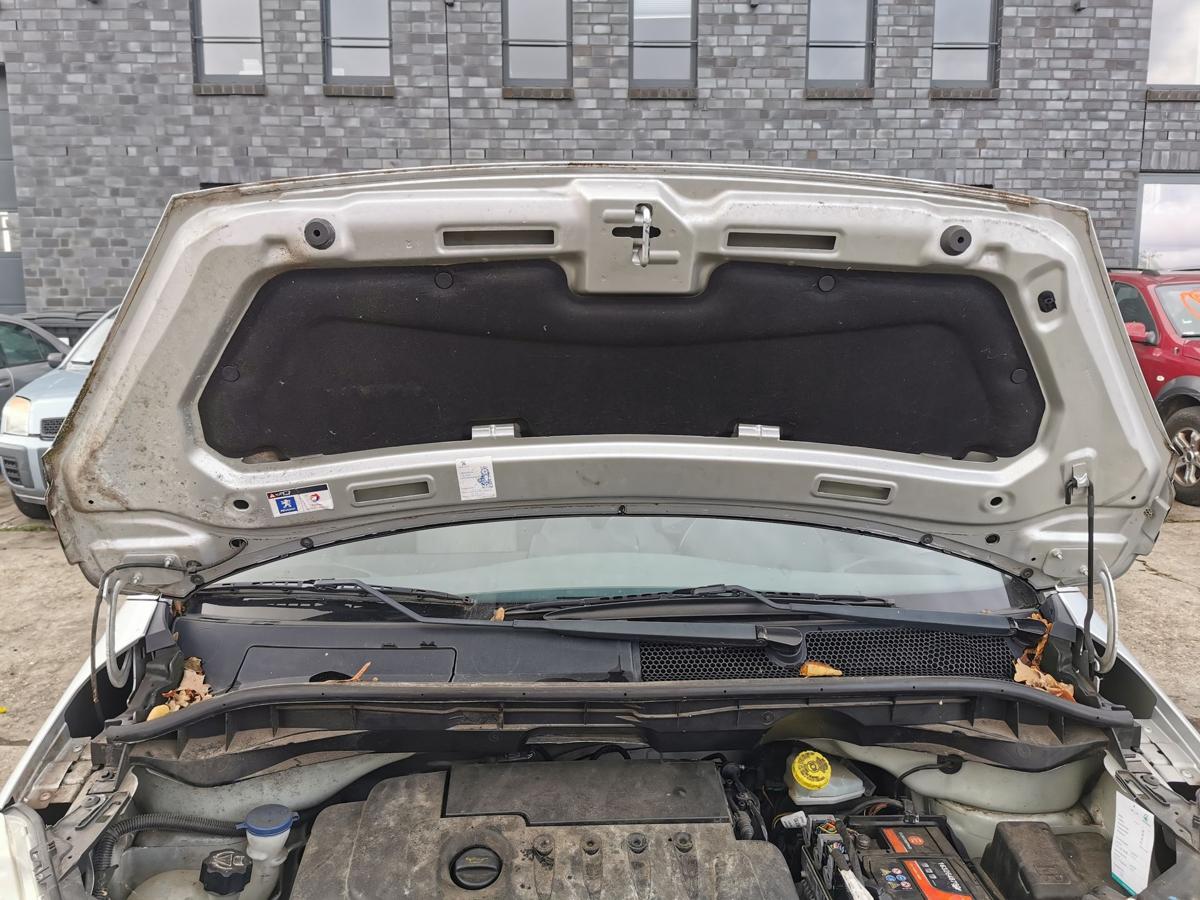 Peugeot 1007 K Motorhaube Haube Klappe Deckel Bonnet vorne EZR Aluminiumgrau Met