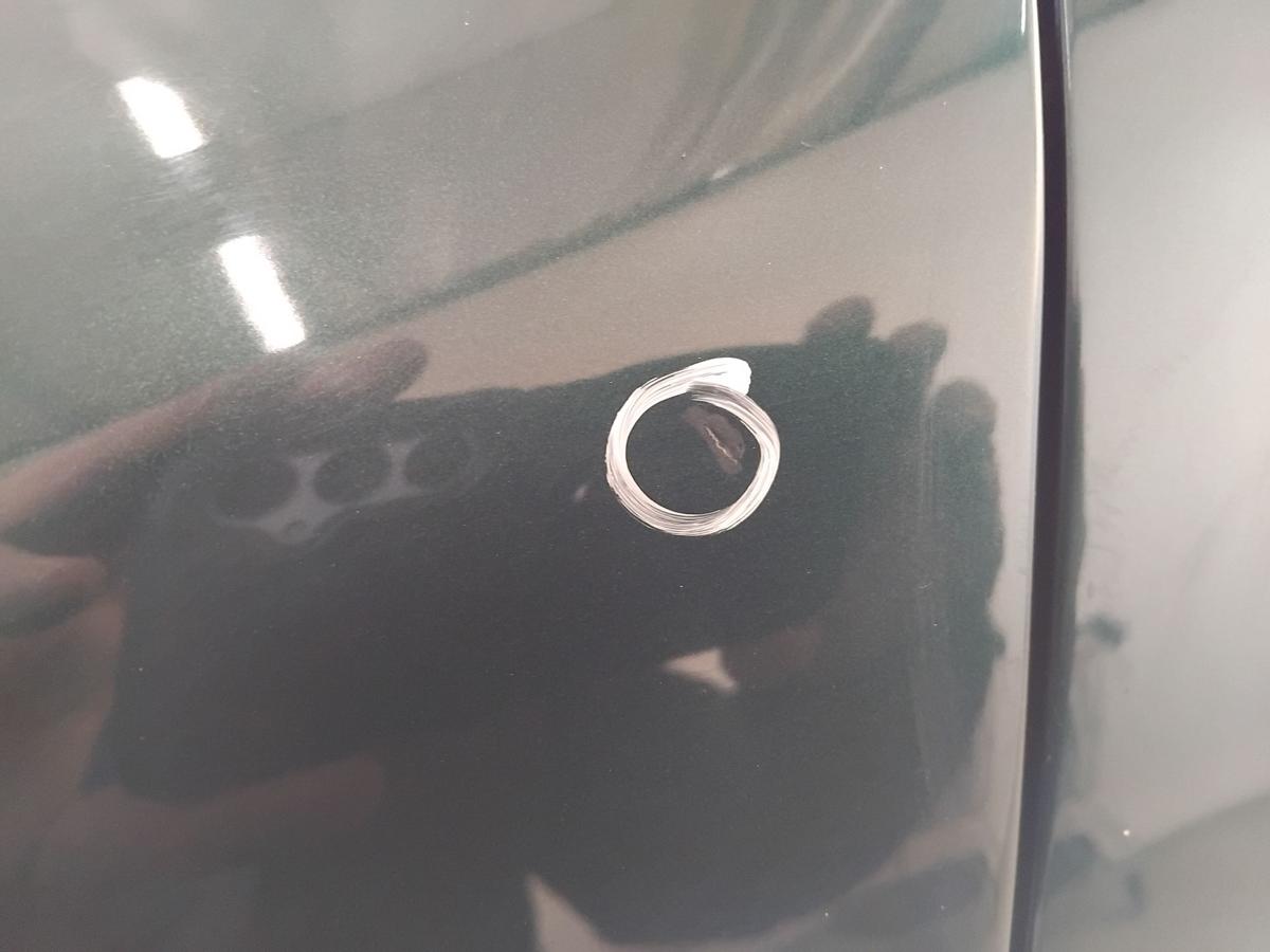 VW Golf 4 1J original Kotflügel vorn links LC6M Brightgreen BJ2003