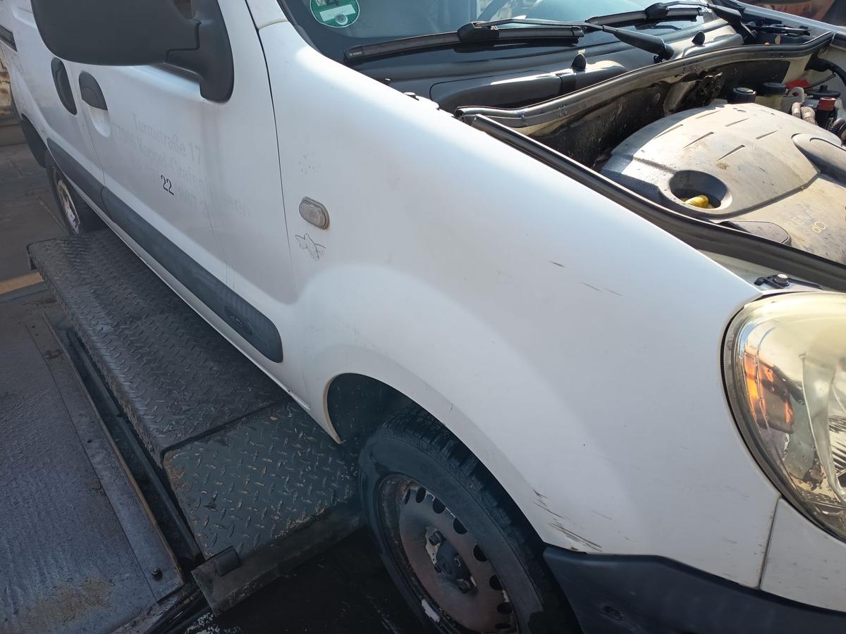 Renault Kangoo KC original Kotfl&uuml;gel rechts Seitenteil 389 Gletscherwei&szlig; Bj 2008