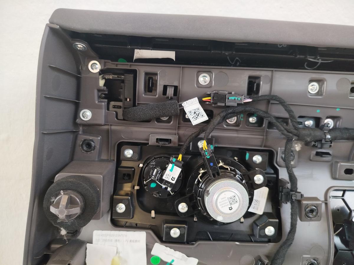 NIO ET7 Elektro Türverkleidung hinten links Fondtür Innenverkleidung Tür OEM