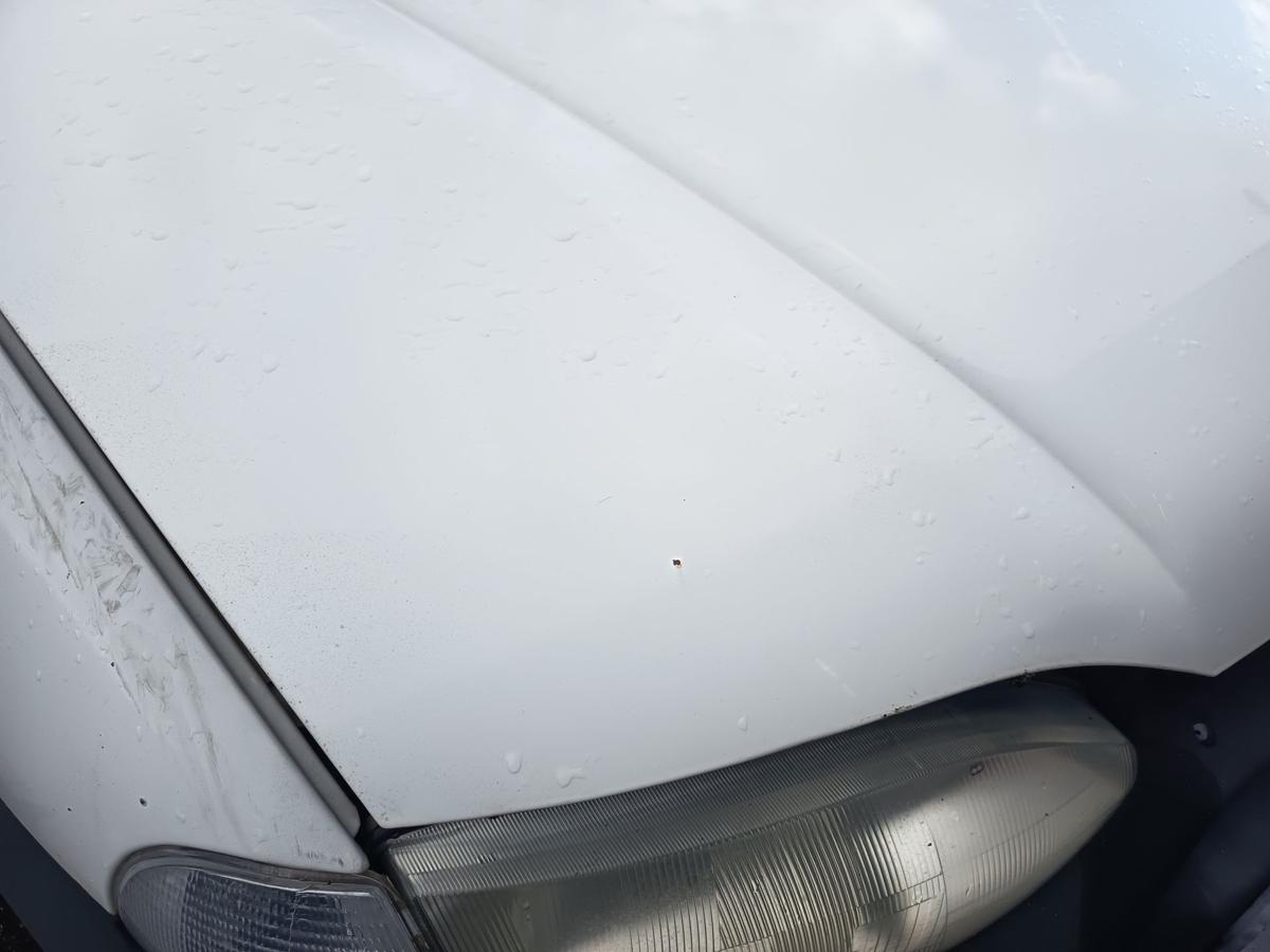 Fiat Strada I original Motorhaube Klappe Deckel vorn Front wei&szlig; uni Bj 2001