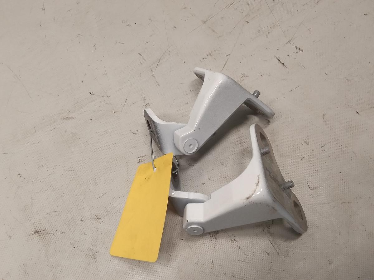 Tesla Model Y original Satz Türscharniere vorn links 1626073-00-B 1626074-00-B