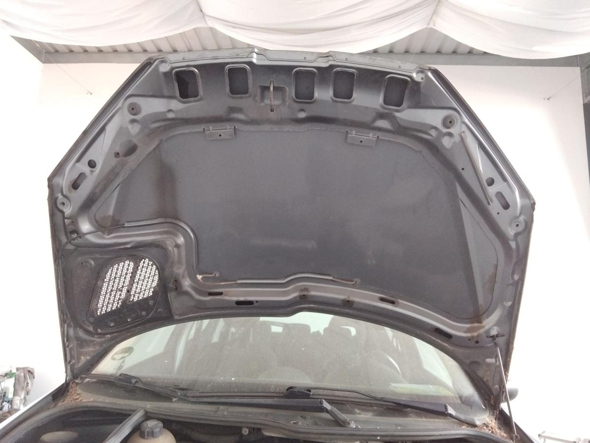 Peugeot 206 original Motorhaube thoriumgraumetallic KTH BJ2008