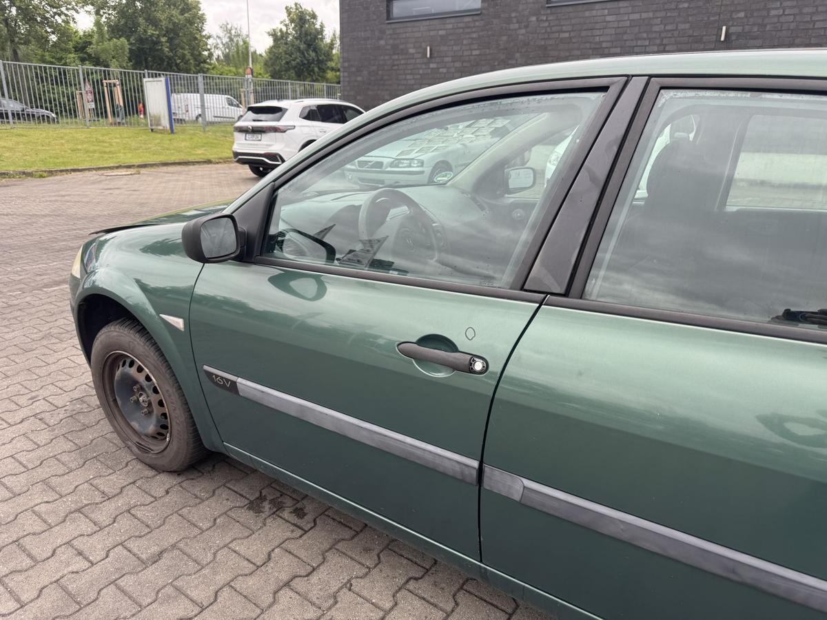 Renault Megane 2 original T&uuml;r vorn links D96 Vert Giverny Metallic Rohbau Bj.2004
