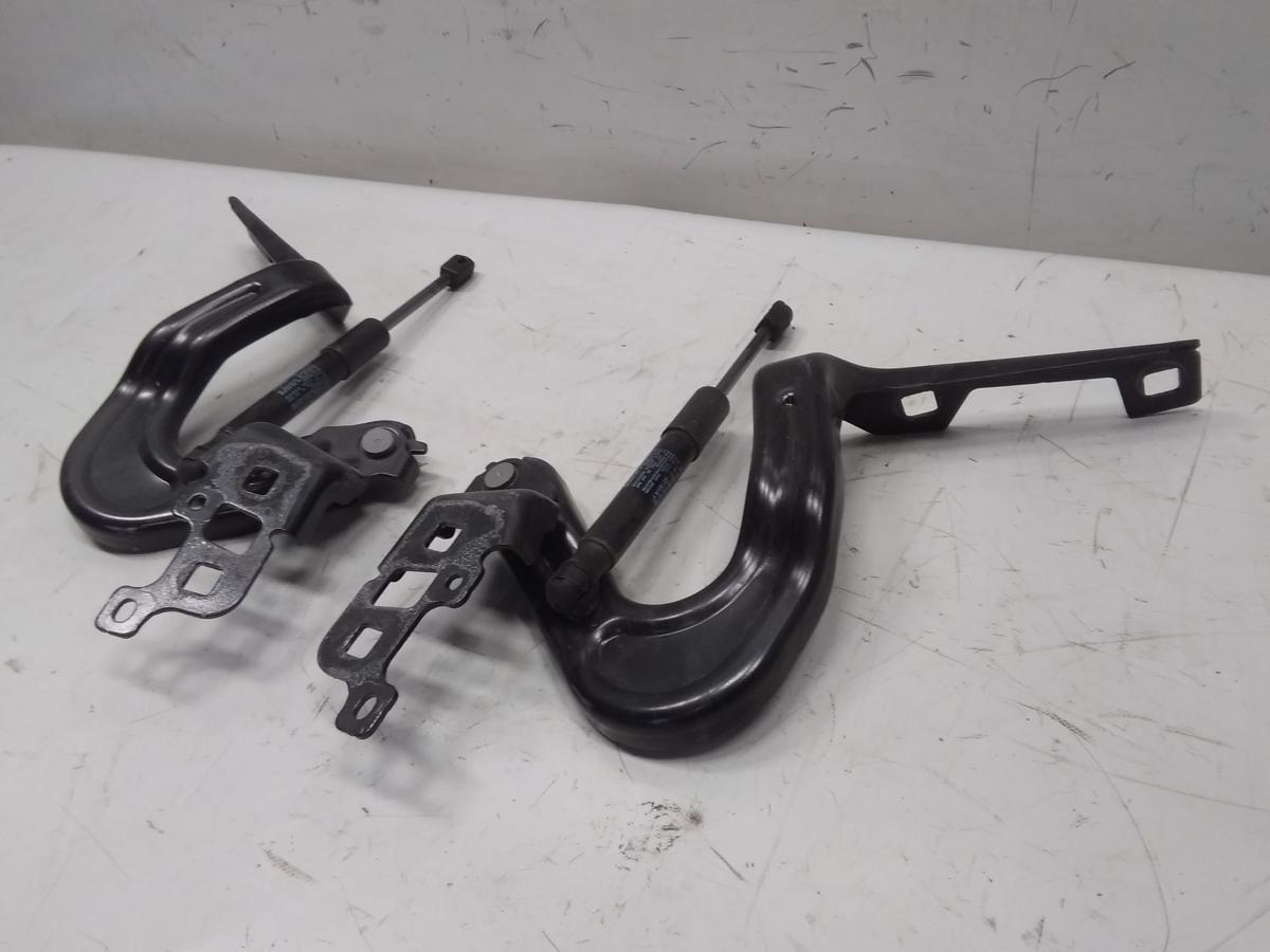 Tesla Model Y RWD original Satz Motorhaubenscharniere unfallfrei BJ2023