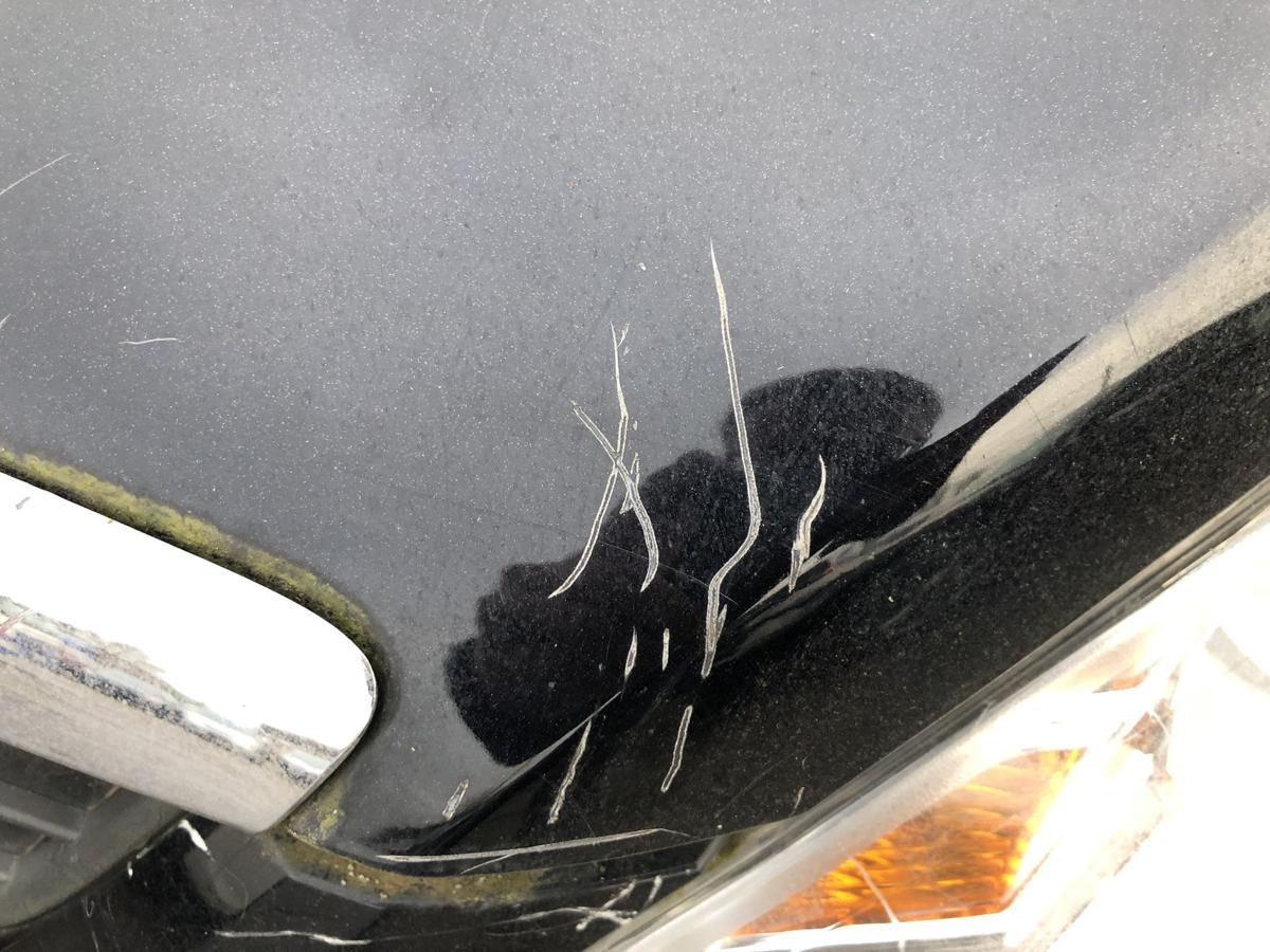 Ford Focus DA3 ab08 Motorhaube Bonnet Haube Deckel vorn schwarz Abdeckung Motor