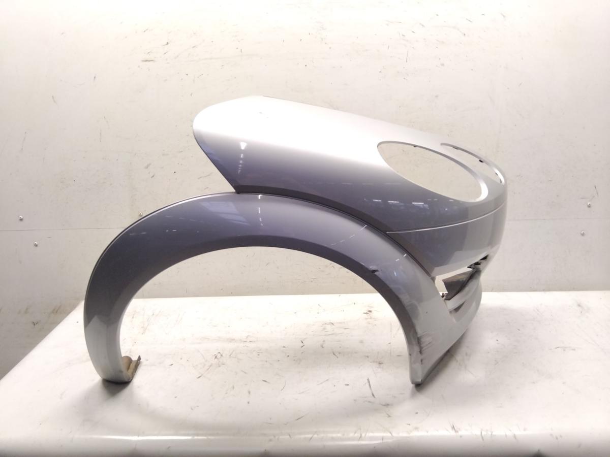 Smart ForFour original Kotfl&uuml;gel Sto&szlig;stangenecke vorn rechts silber Bj.2004