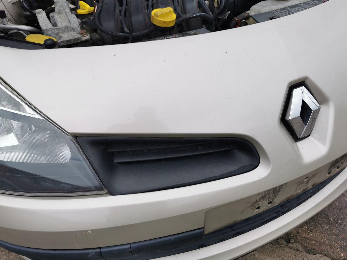 Renault Clio III Stossfänger Stossstange Bumper vorn TED11 Beige Pepper 3trg -09