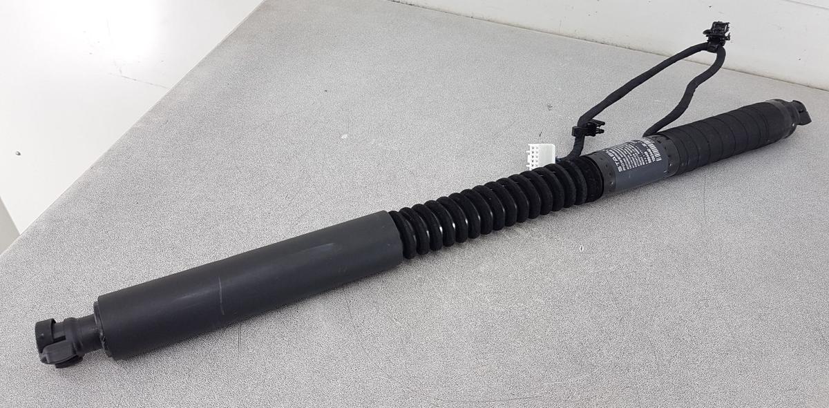 Tesla Model X T&uuml;rheber Gadruckfeder T&uuml;r hinten Bj2022 1063440-00-F Falcon