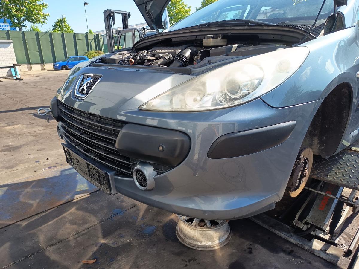 Peugeot 307 original Sto&szlig;stange F&auml;nger vorn Front EZW Eisengrau Bj 2006