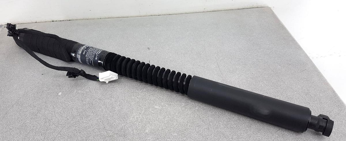 Tesla Model X T&uuml;rheber Gadruckfeder T&uuml;r hinten Bj2022 1063440-00-F Falcon