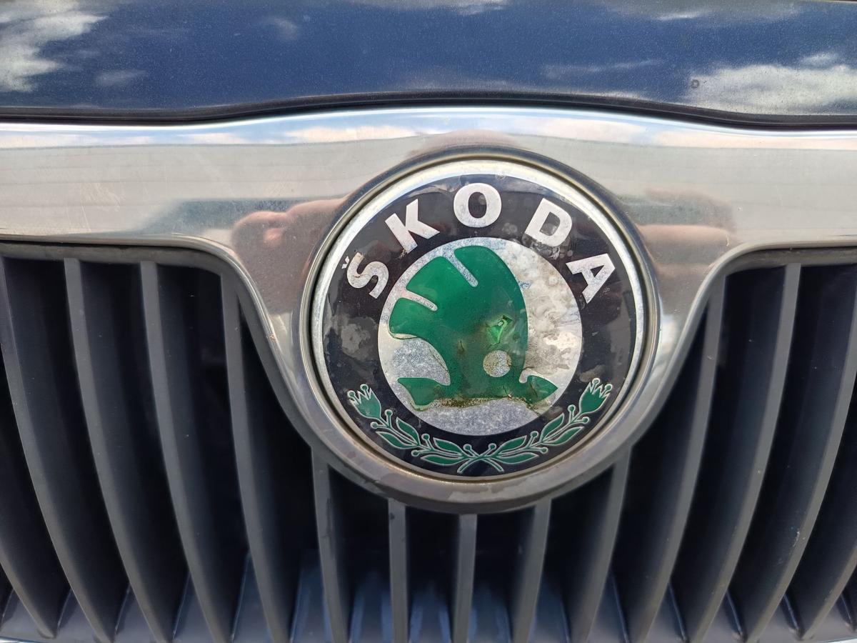 Skoda Fabia 6Y Motorhaube Klappe Deckel vorn Front F9R Black Magic Bj 2004